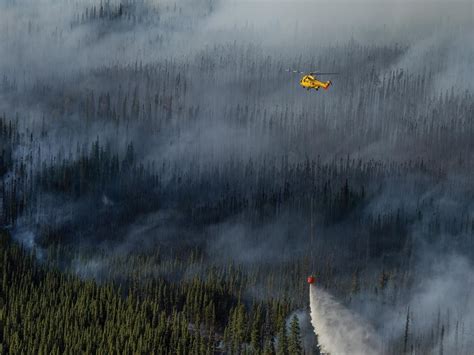 B.C. must urgently change forest strategies or face more wildfire disasters: report